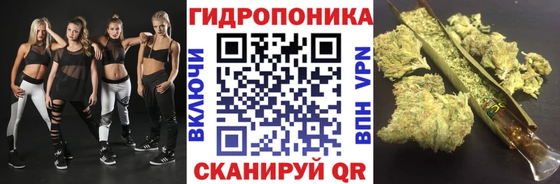 Цена Кстово COCAIN Alpha-PVP АМФ Псилоцибиновые грибы Мефедрон