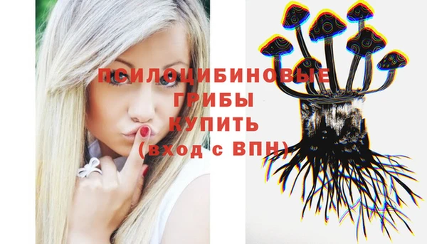a pvp Яранск